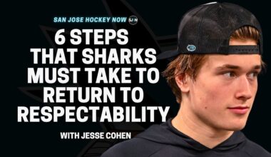 6 Steps That Sharks Must Take To Return to Respectability