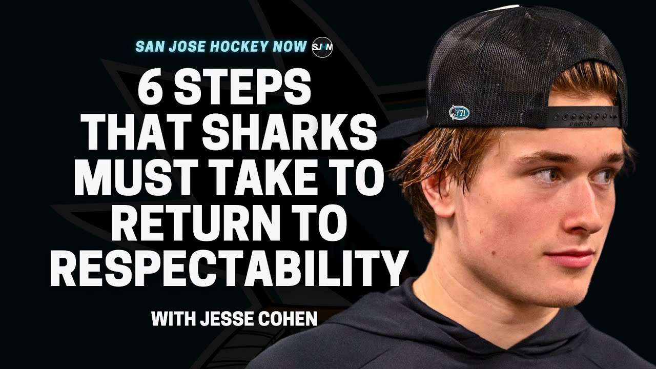 6 Steps That Sharks Must Take To Return to Respectability