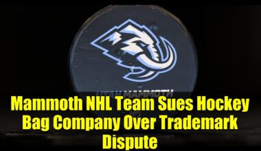 Mammoth NHL Team Sues Hockey Bag Company Over Trademark Dispute