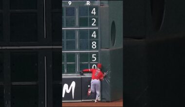 The Wall's fault? #accident #mlbhighlight #mlbhighlights #mlb #houstonastros #mlbshorts