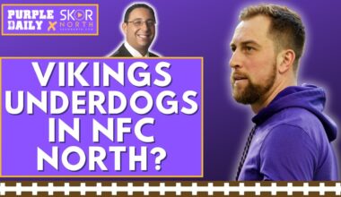 Where Minnesota Vikings fall in the NFC North