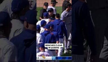 Benches clear in Marlins vs Mets 👀 #baseball #mets #marlins #mlb