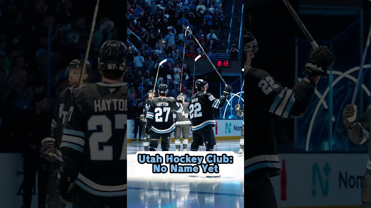 How Every NHL Team Got Their Name: Central Division