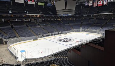 New center-ice logo!