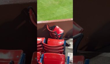 Best solo seat in all of Major League Baseball? #mlb
