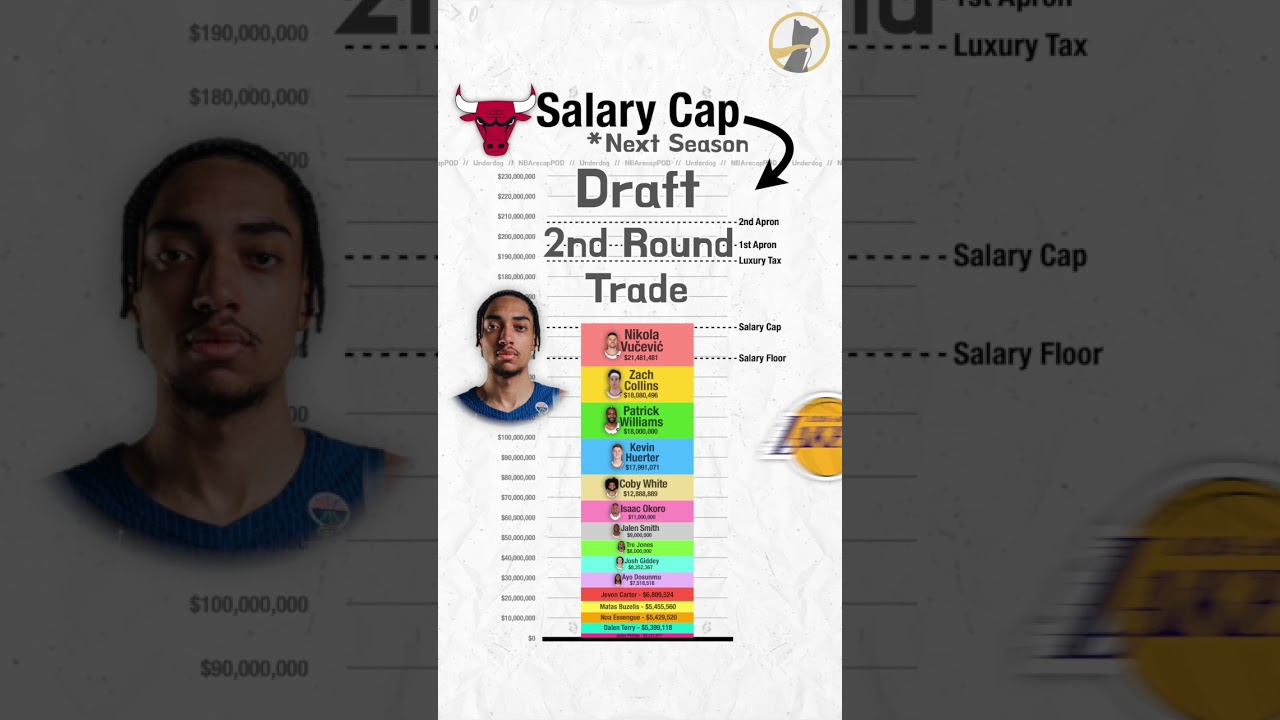 Salary Cap Breakdown - Chicago Bulls