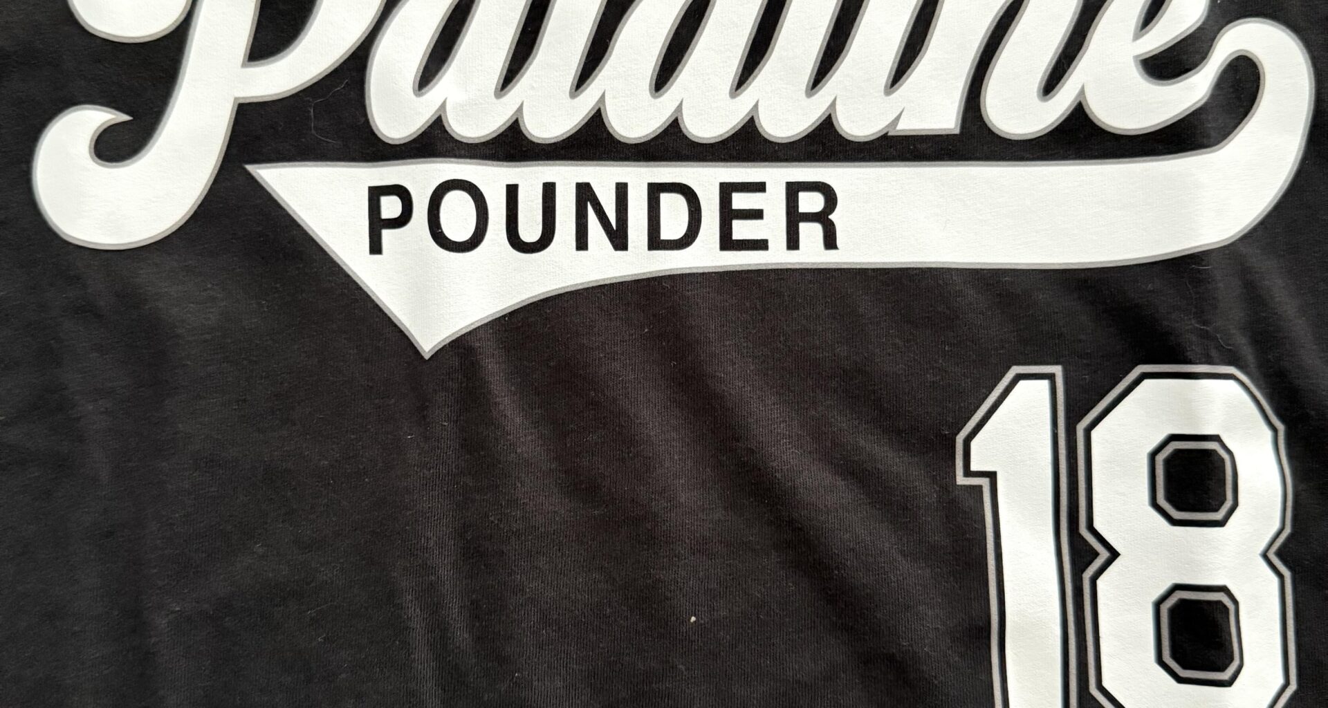 I agreed to go to a Sox game with my Sox-loving friends wearing Sox gear. As a Cubs fan, I feel good about this one