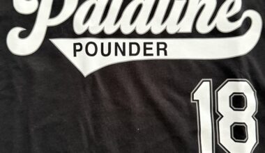 I agreed to go to a Sox game with my Sox-loving friends wearing Sox gear. As a Cubs fan, I feel good about this one