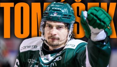 What Should Edmonton Oilers Fans Expect From David Tomášek