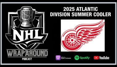SUMMER COOLERS – THE DETROIT RED WINGS