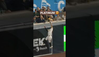 Ladies and gentlemen, Fernando Tatis Jr. 🤯 #mlb #baseball #sportshighlights #catch #fernandotatisjr