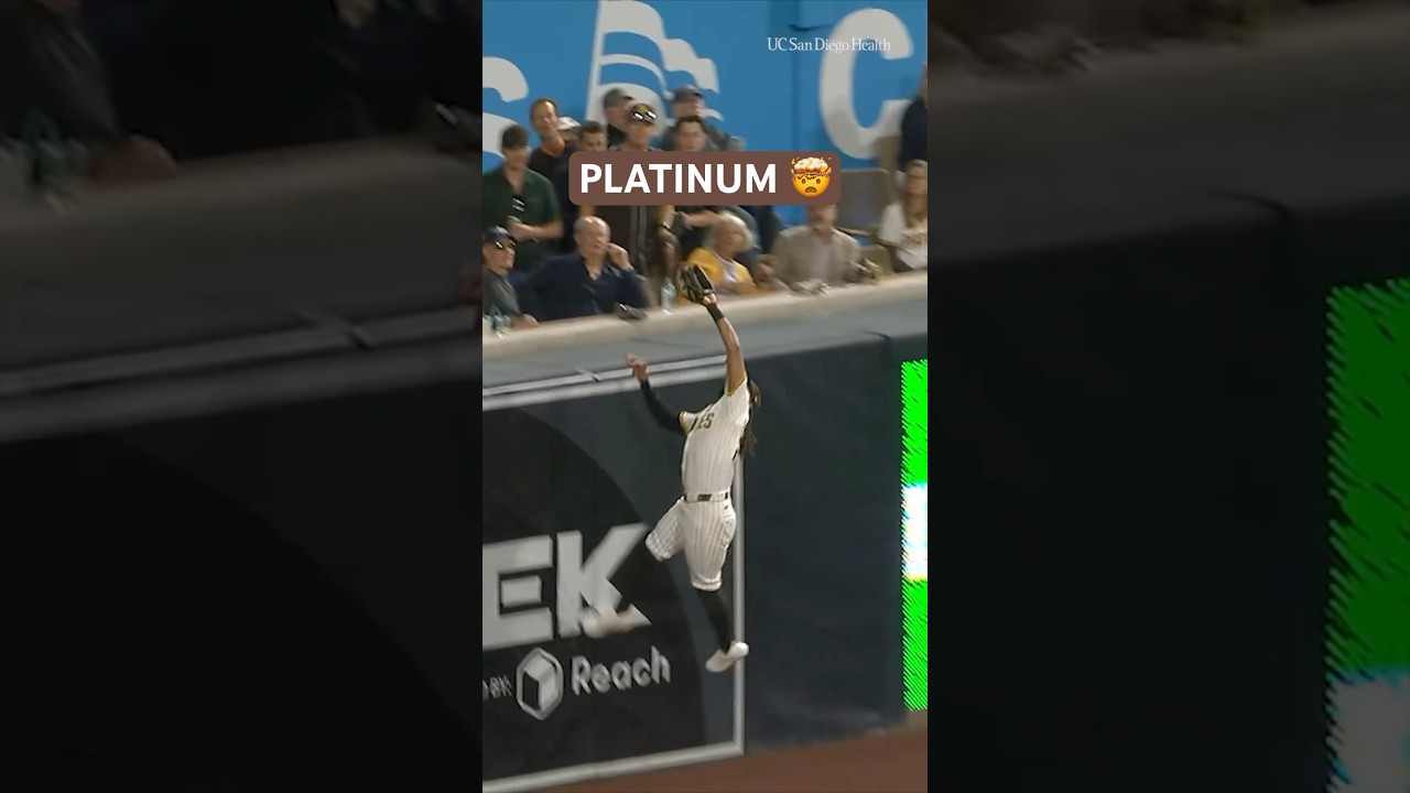 Ladies and gentlemen, Fernando Tatis Jr. 🤯 #mlb #baseball #sportshighlights #catch #fernandotatisjr