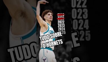 APRENDA SOBRE O HORNETS