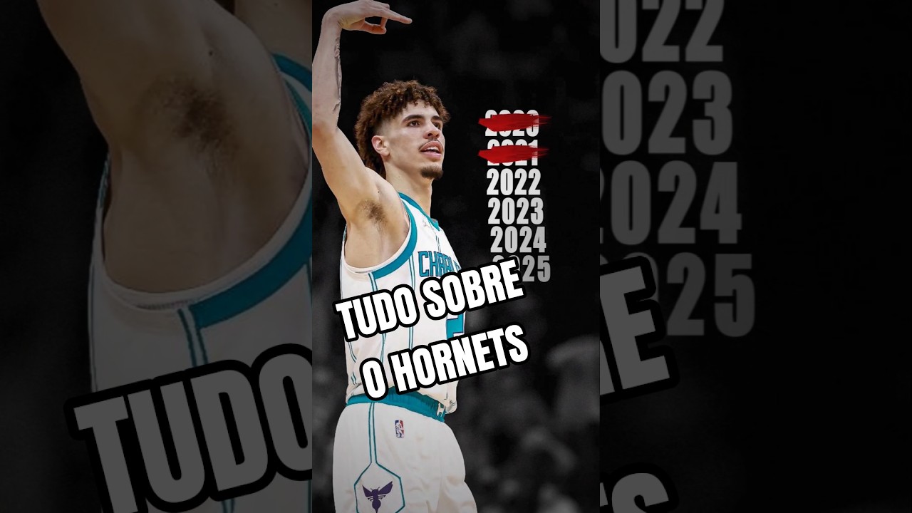 APRENDA SOBRE O HORNETS