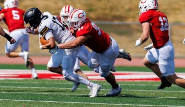 Defensive dominance leads to Dutch football victory