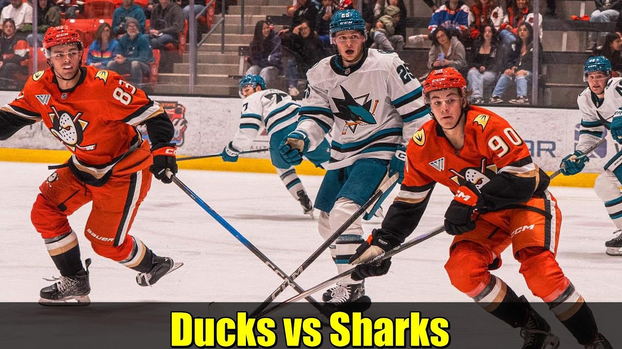 Ducks vs Sharks | Golden State Rookie Faceoff Highlights & Recap