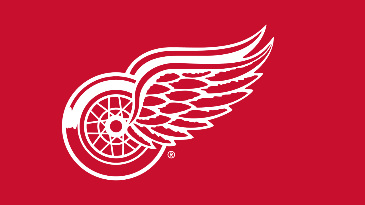 Game Thread: Wings Prospects vs. Stars Prospects - 14 Sept 2025 - (7:00pm EST)