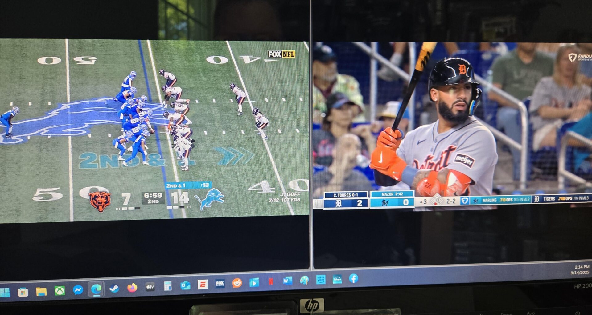 Lions and Tigers and Bears, oh my!