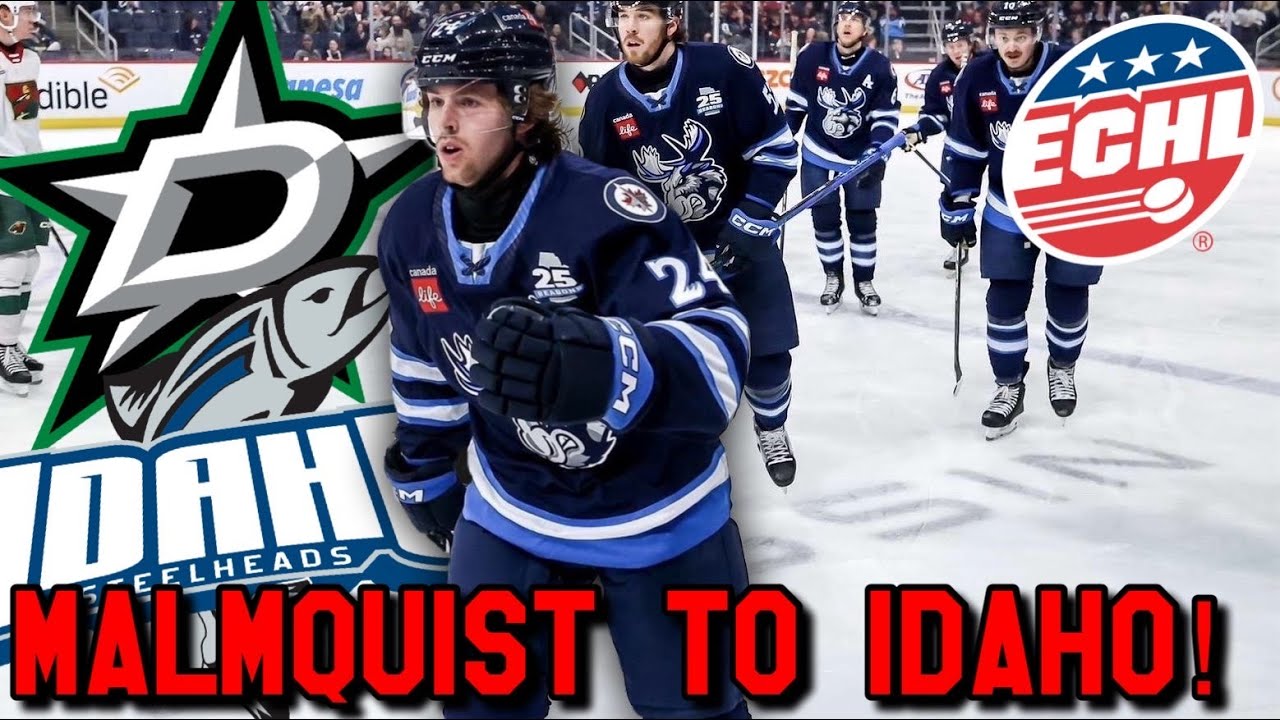 Dallas Stars Sign Liam Malmquist to ECHL Contract!! Jets Fan Reaction!!