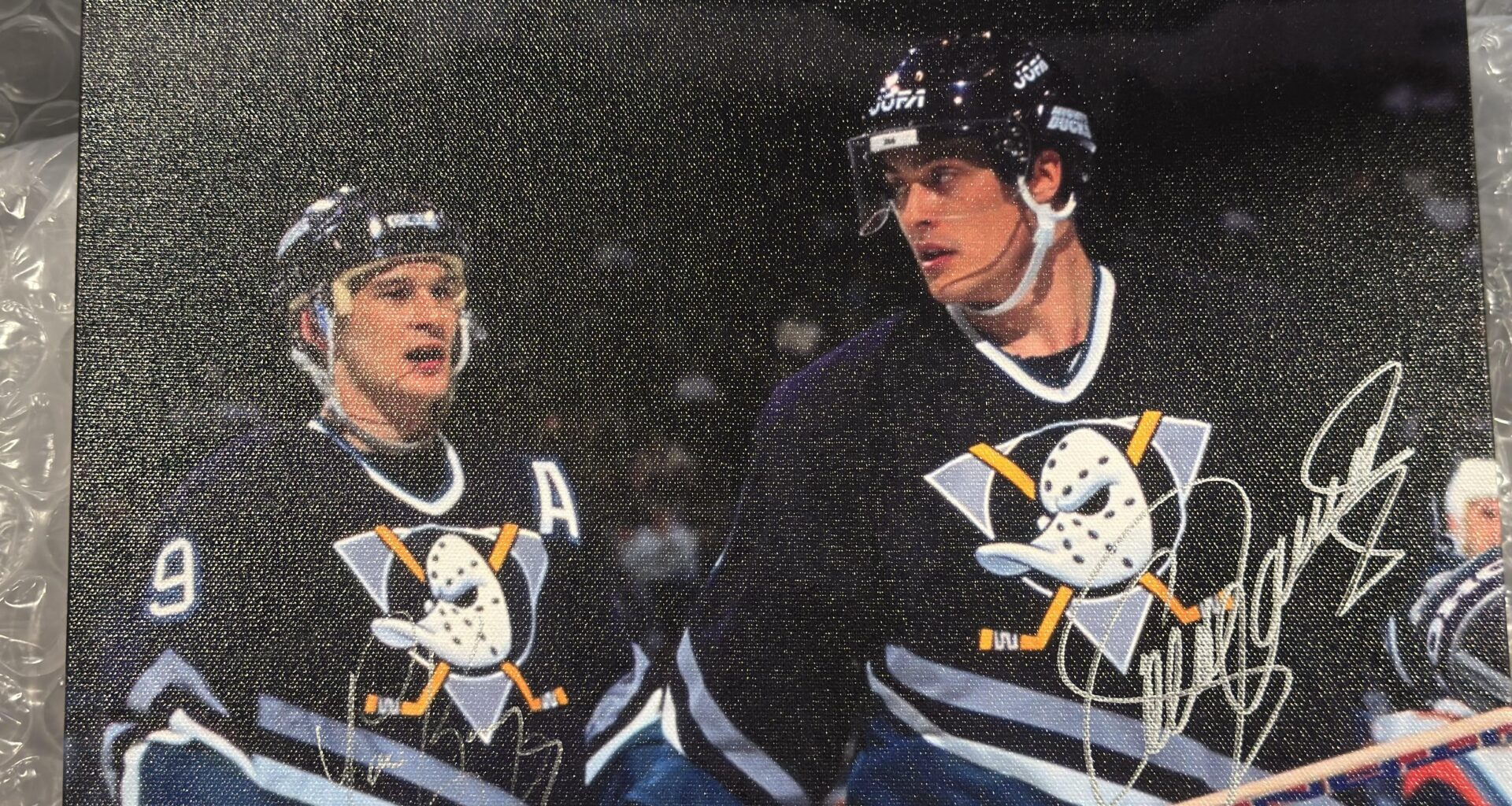 Arrived from the ducks auction