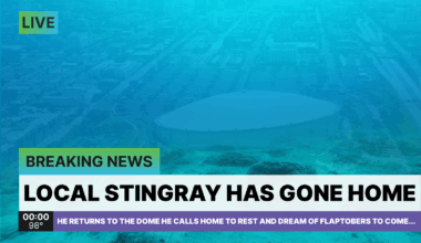 PGT: Five games under .500 with eleven remaining. It's all but a formality now. Better to have loved and lost, than never to have loved at all. [F: 5-6]