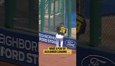 ALEXANDER CANARIO DID THAT.