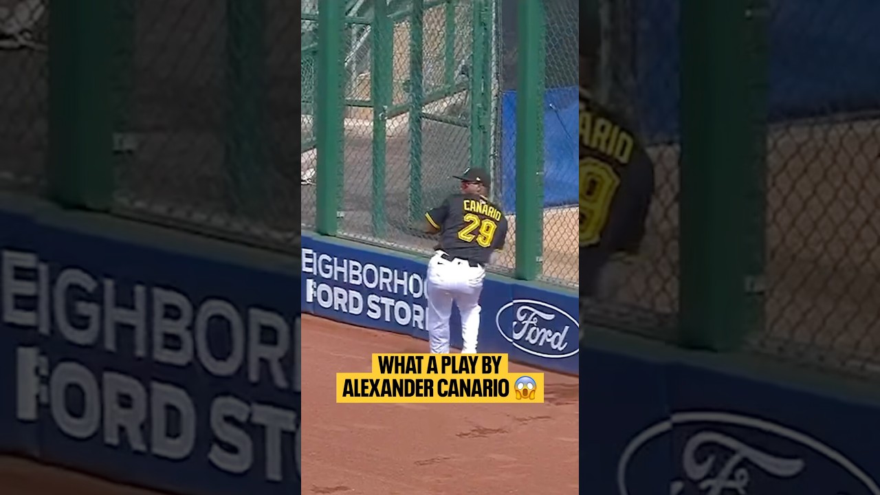 ALEXANDER CANARIO DID THAT.