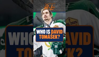 Who is The Edmonton Oilers New Center? Introducing David Tomášek.