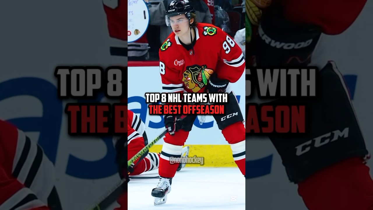 top 8 teams with the best offseason (clip credit nhl/sportsnet)