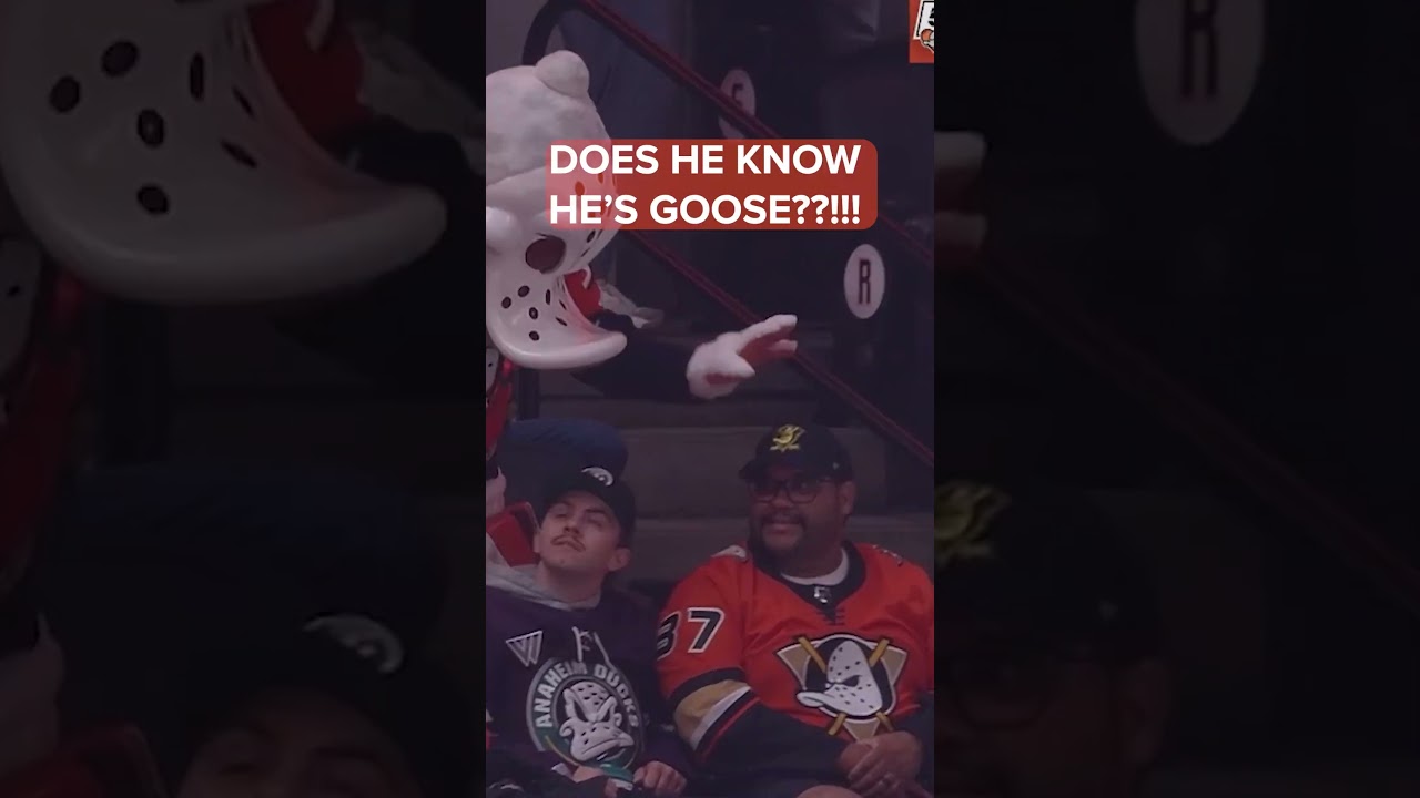 duck... duck... GOOSE!