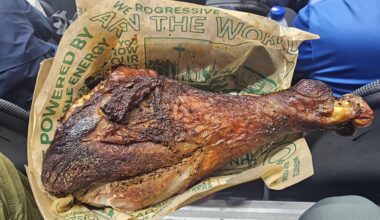 $9.99 for a turkey leg