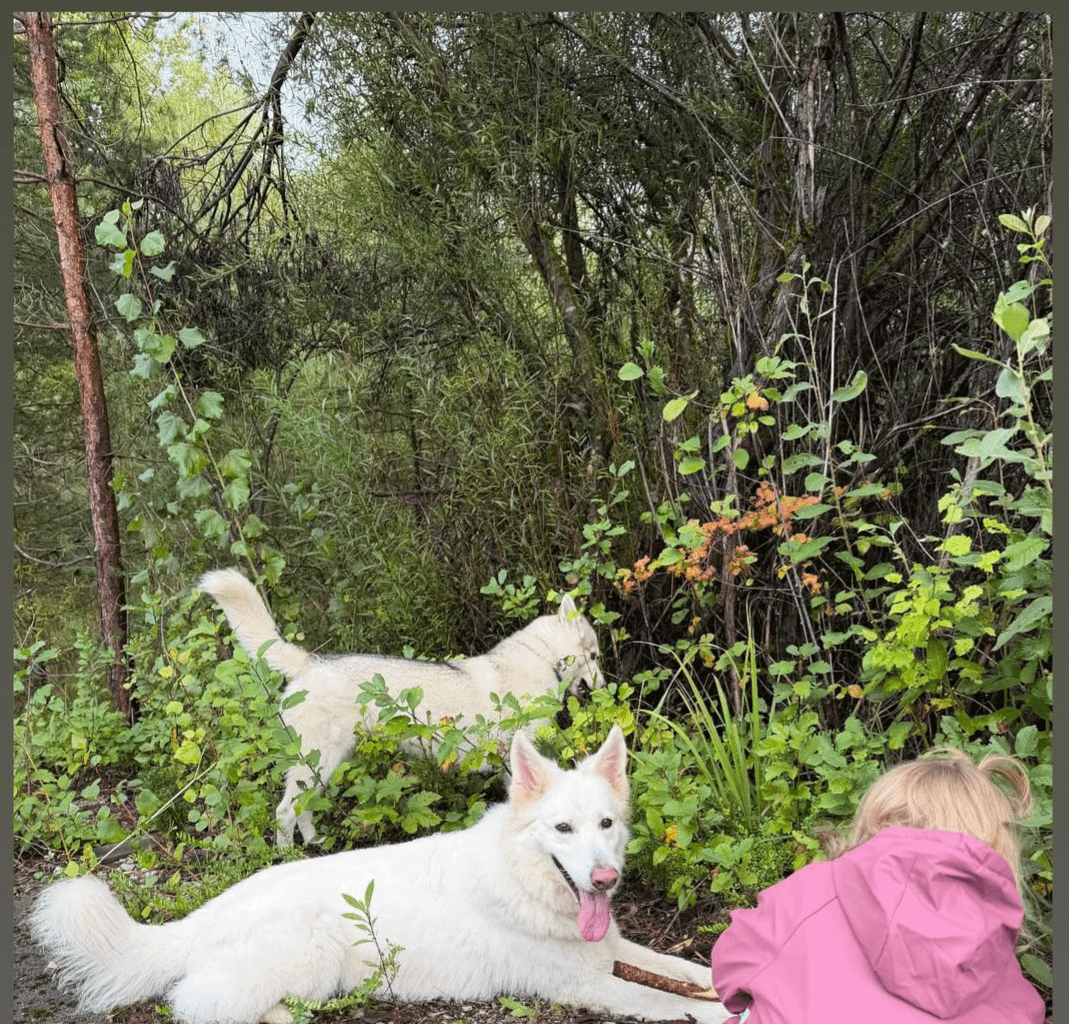 Luka shared a new Instagram story featuring his daughter, Gabriela, and his dogs ❤️🥹