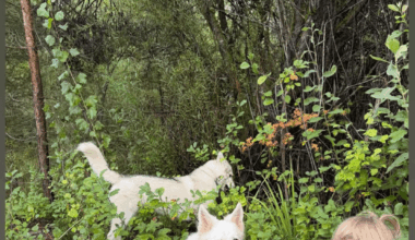Luka shared a new Instagram story featuring his daughter, Gabriela, and his dogs ❤️🥹