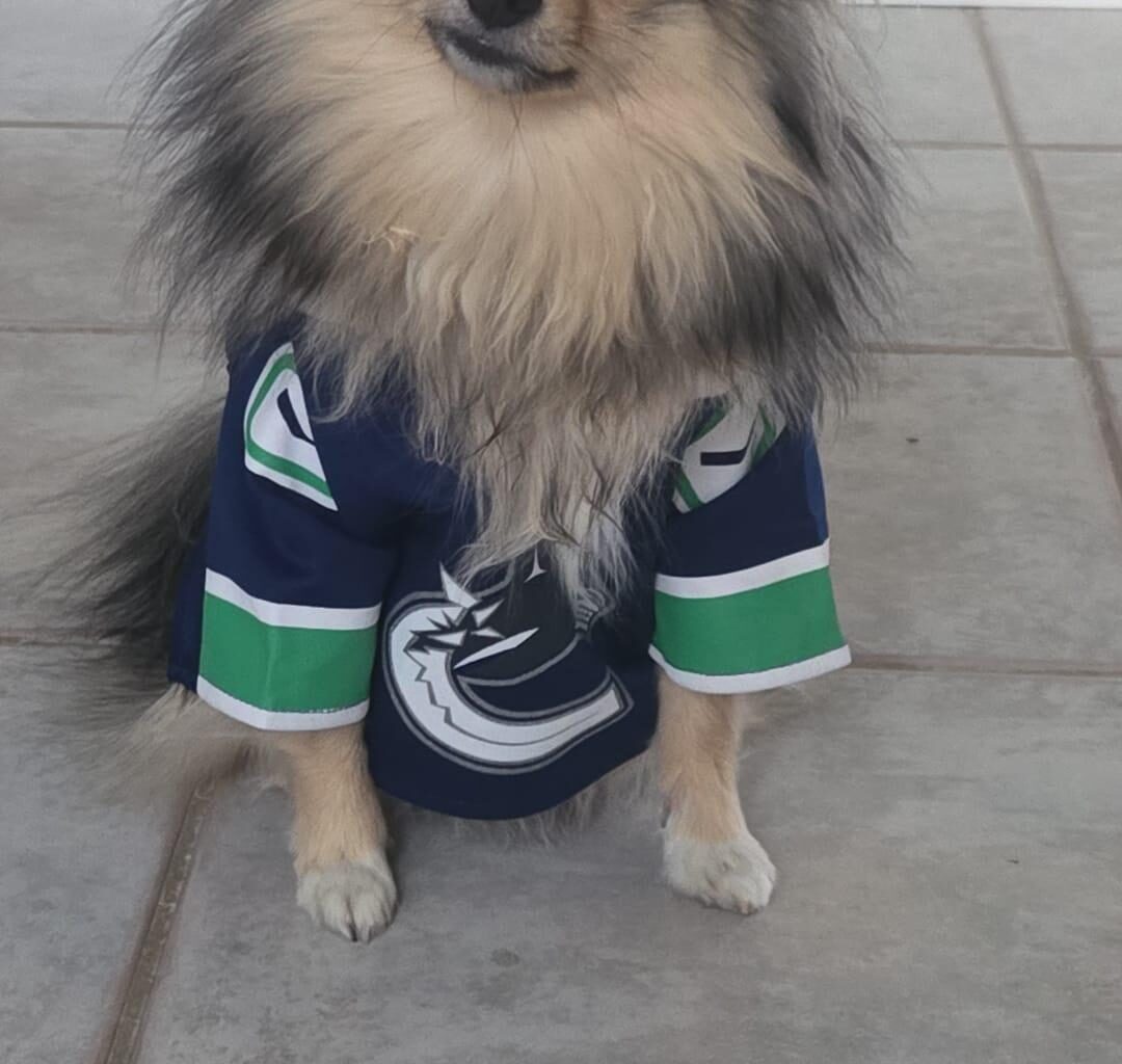 Found this jersey at HomeSense. Is it authentic or a fake?