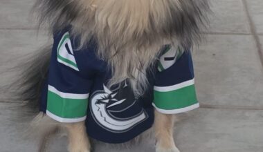 Found this jersey at HomeSense. Is it authentic or a fake?