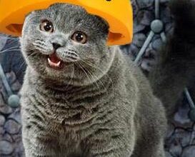 Inside look at the tough negotiations between the Packers and Cowboys