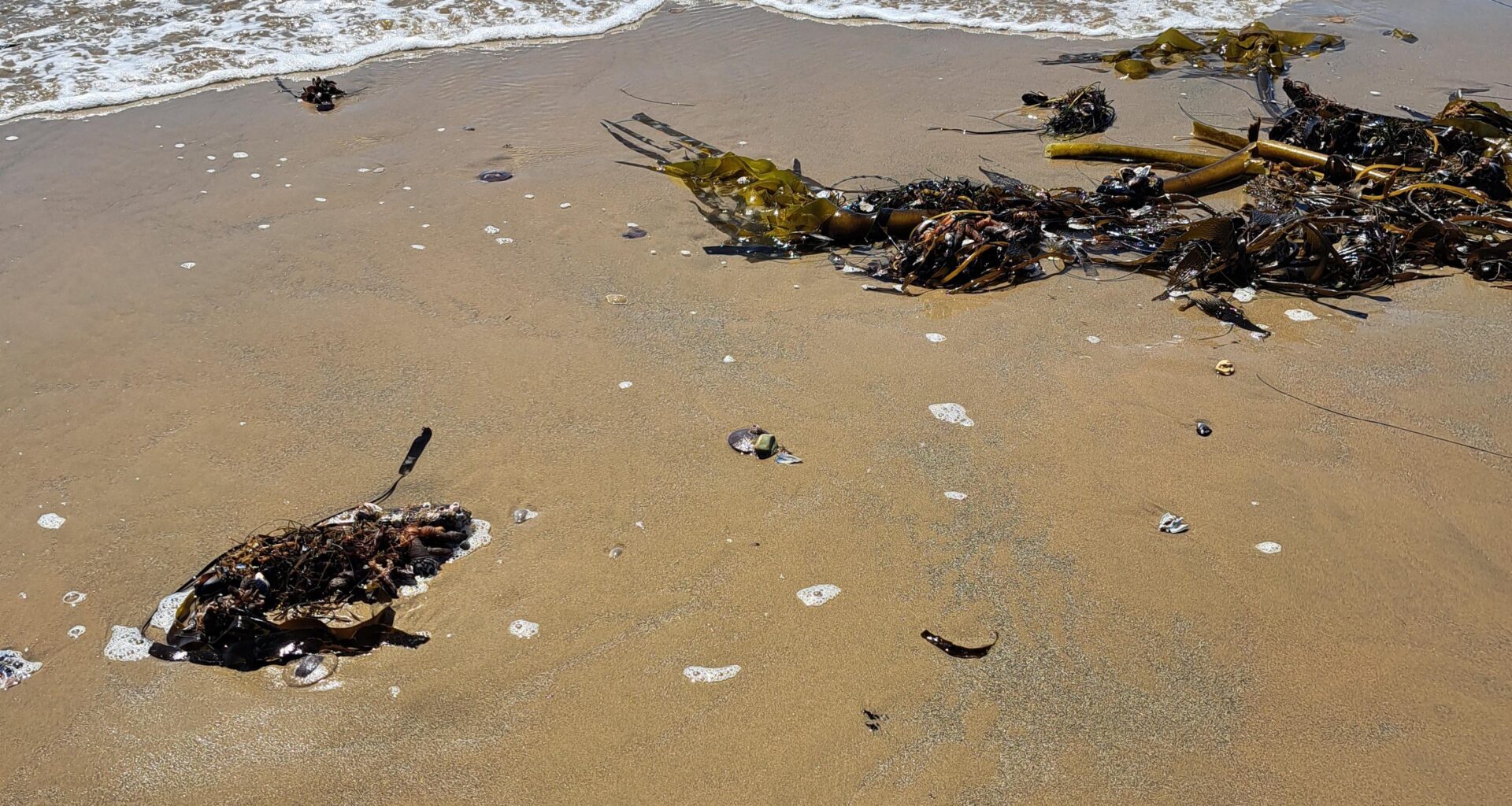 The Pacific Ocean knows what's up: Doesn't want trash