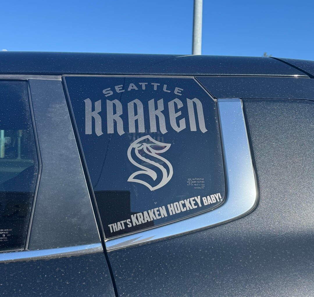 Matte Black Vinyl 🥰