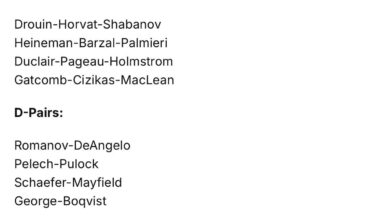 Islanders Lines from Today with Lee and Tsyplakov out