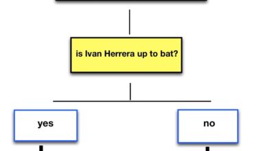 A flow chart to understand the 2025 season