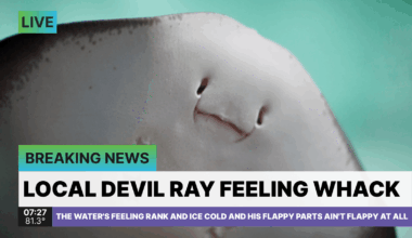 PGT: Until next year, stay tubular little Devil Ray dude. [F: 3-6]