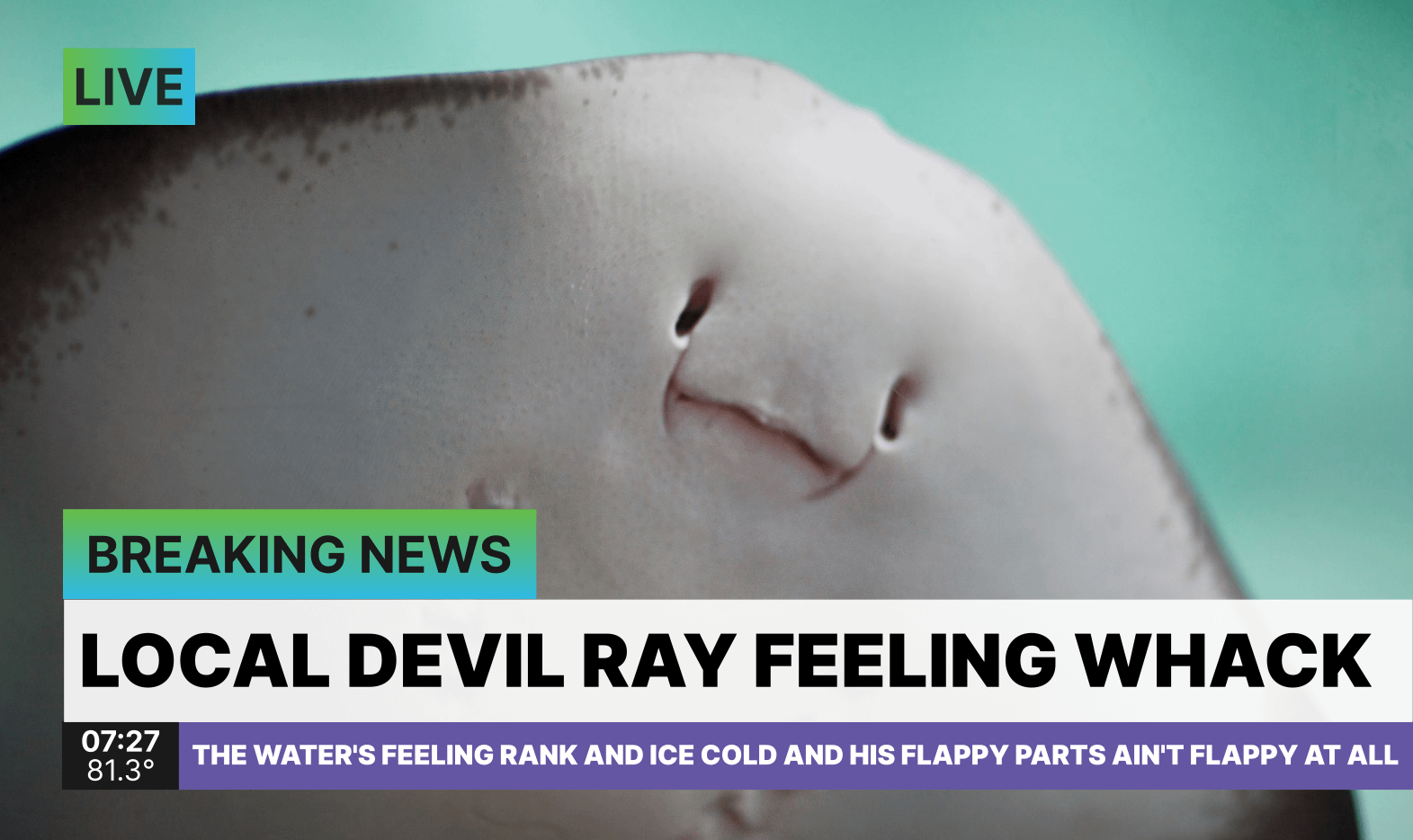 PGT: Until next year, stay tubular little Devil Ray dude. [F: 3-6]