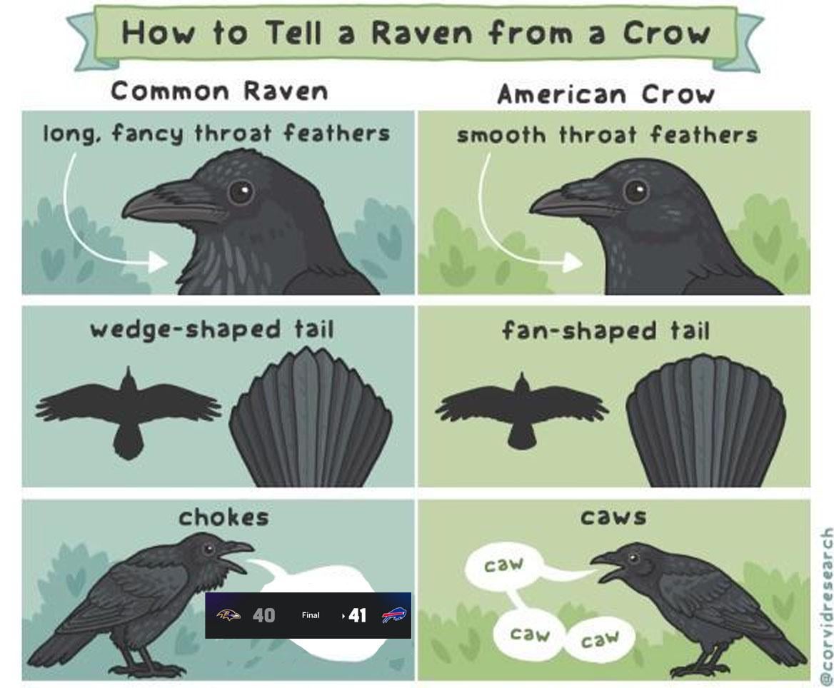 The difference is in the details