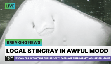 PGT: The night draws closer. Just 17 games to go. [F: 5-6]