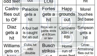 Rays vs Cubs Bingo, 9/12/2025
