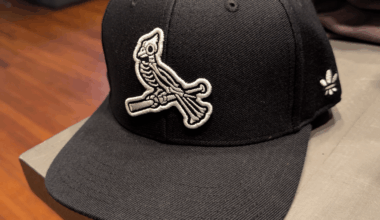 Picked up a sick hat.