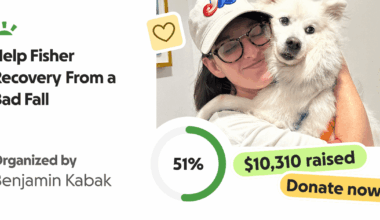 Lindsey Adler Go Fund Me