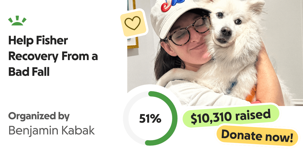 Lindsey Adler Go Fund Me