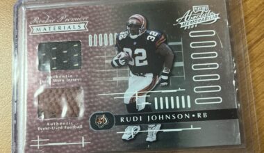 Ravens fan coming in peace and Rudi Johnson