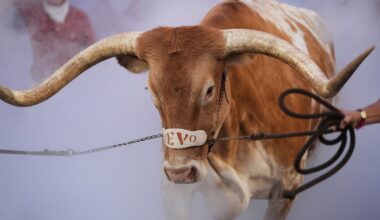 From Bevo to Ralphie, live animal mascots inspire fans and create deep connections in CFB